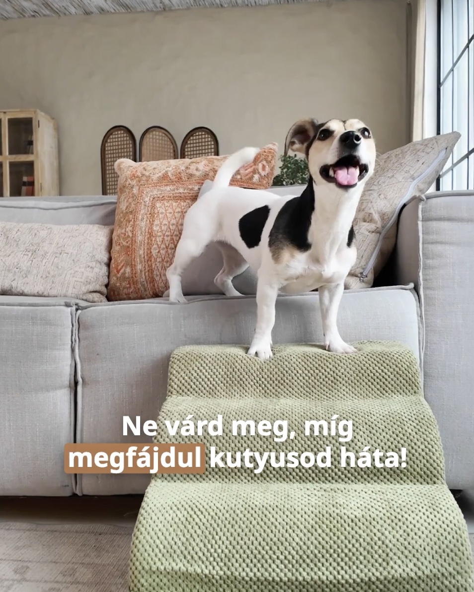 HIGHWAY kutyarámpa, zöld